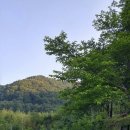 청림서당 이미지