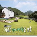 포독스 이미지