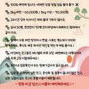 젤리뽀개린이집 이미지