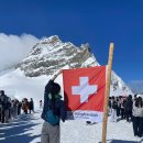 하프의원 | [다이어트] 다이어트 병원 - 하프클리닉의원 지방주사 후기(feat.1회차)