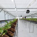 팔금농장 이미지