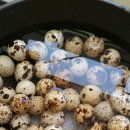 명바위농산 이미지