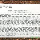 박대립선생묘 및 신도비 이미지