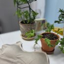 볼륨댄스 | ✨ [도로시와] 풀샷브라 볼륨업 서포트｜운동할 때도 놓칠 수 없는 라인! 미디엄서포트 스포츠브라 후기 ✨