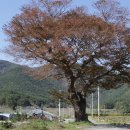 인곡리도로변 이미지