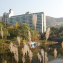 신안종합콘도미니엄 이미지