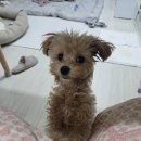 데이,그룸 티스토리