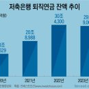 저축은행 퇴직연금 대규모 자금 이탈 가능성 거론 이미지