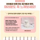 퍼피캣 강아지분양 인천루원시티점 | 인천강아지입양 puppycat에서 특별한혜택을 드립니다(feat.고양이입양)