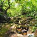 진성목장 | 제주 국가유산 방문의해 스탬프 투어 유산 탐험 지도 제주 애월에서 비양도까지 제주 서쪽 여행 코스 모음