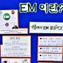 부림동회관 이미지