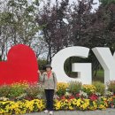 계양아라온 꽃축제 10/14(화) 이미지