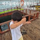 올레바당체험마을 | [내돈내산] 아이와 함께하는 제주 전통 테우낚시체험 &#34;제주올레바당체험마을&#34; 어린이낚시 솔직후기