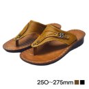 비손플러스 이미지