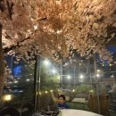 원도안로-15 | 도안동 고기집 도심 속 캠핑 감성! 시크릿가든 도안호수공원본점 우대갈비 끝판왕 후기