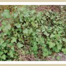 단지농장 이미지