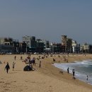 경포의휴일 이미지