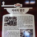 [강릉여행] 커피의 역사와 문화를 만난 커피커퍼 커피박물관 이미지