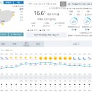 오늘도 최고기온 24'c 밤에 비 올 수도 있다해요 이미지