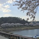 회야강변 이미지