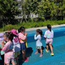 경희대 태권도장 이미지