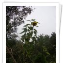 대술농장 이미지