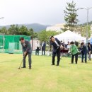 카멜리아 이미지