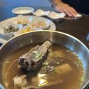 제비꽃 | 둔산 제비꽃마구로 후기(구 서산)