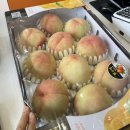 서산 과일가게 청과담 에서 과일사기🍑🍎🥝🍇🍏