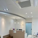 쿠키동물병원 | 과잉진료 없는 강남 동물치과병원메이에서 젤리쿠키 종합검진과 스케일링 받은 후기 내돈내산