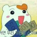 지디파크 이미지