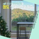 스테이인포시즌 이미지