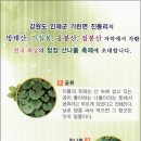 진동계곡마을 이미지