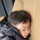 동탄꿈의 유치원 이미지