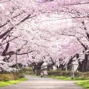 디초콜릿커피앤드 이미지