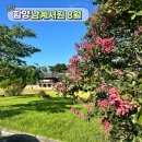 함양-8 | 경남 함양 남계서원, 배롱나무와 함께한 고즈넉한 여름 풍경