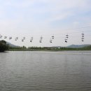 꿈의 동산 이미지