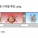 장수건강 이미지