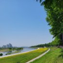 탕정그집쭈꾸미 이미지