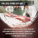 대패1900 이미지