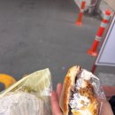 2026.6월중순 제주도 동쪽여행 기록