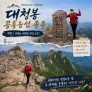 10월 단풍철 특별 테마 산행 안내 및 예약(2026.10.14~16,2박3일,수~금)/강원도 인제,양양 설악산,고성 통일전망대 등 이미지