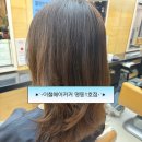 로얄헤어 | ✂️ 이철헤어커커 명동1호점 | 빗자루를 비단결로 만든 로얄 헤어클리닉 후기