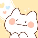 메씨엘리 이미지