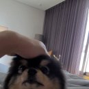 태형 이미지