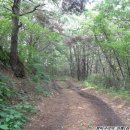 파주스타디움 축구장 이미지