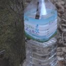 고로쇠마을 | 벚꽃 기다릴 필요 있을까? “2026년 운장산 고로쇠축제”가 이미 봄 열었다