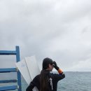 프리씨 | 세부 프리다이빙 자격증 도전 후기, 실패, 언더 더 씨(UNDER THE SEA) 내돈내산