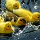 호동어린이집 이미지