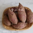 은아네농원